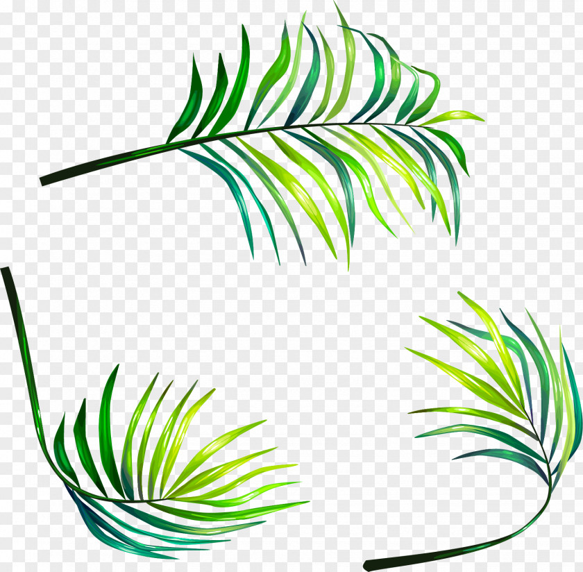 Vector Hand-painted Leaves Leaf Euclidean Clip Art PNG
