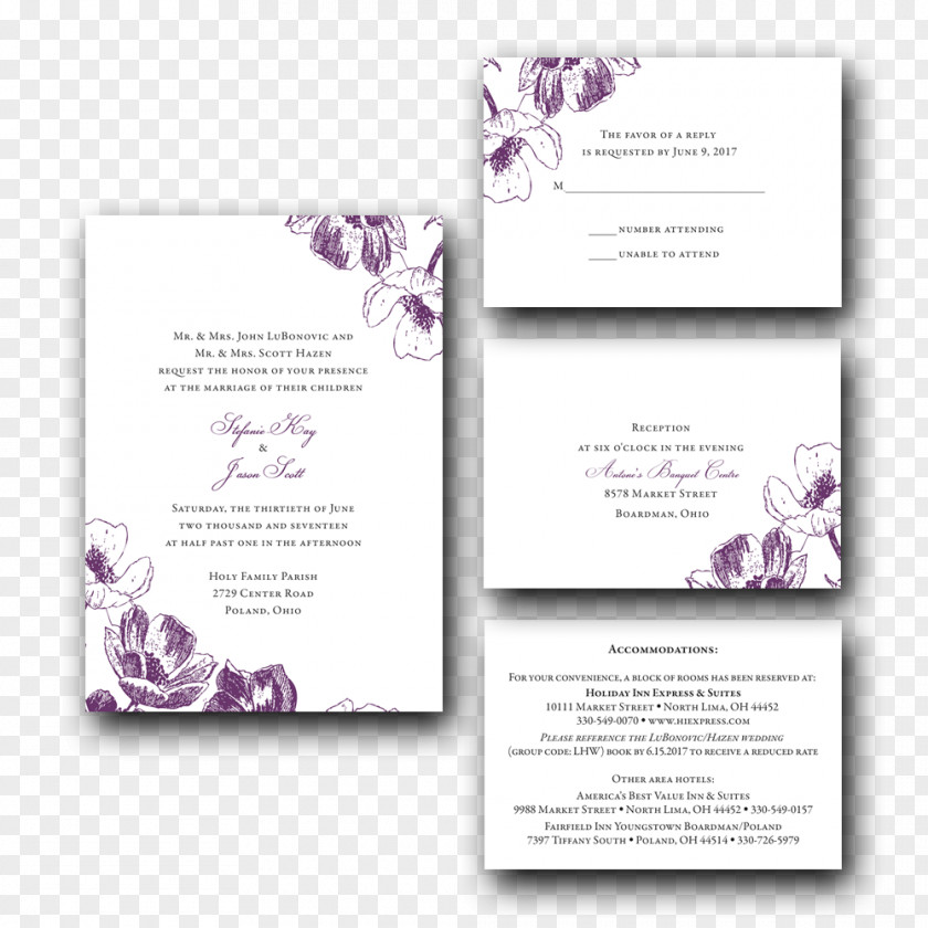 Wedding Invitation Font Convite PNG
