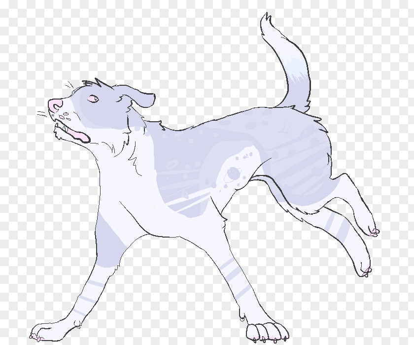 Cat Dog Breed Drawing /m/02csf PNG