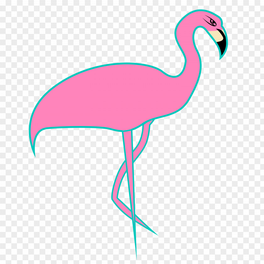 Flamingo Miami Bird Florida Flamingos Clip Art PNG