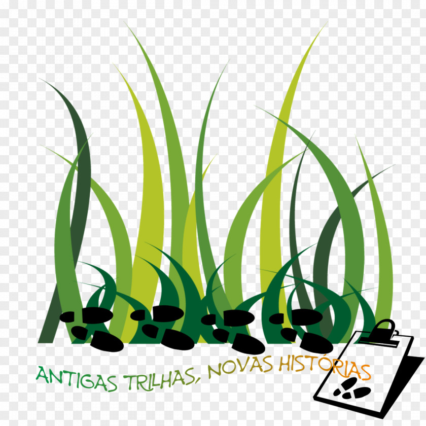 Leaf Green Grasses Surgeon Plant Stem Clip Art PNG