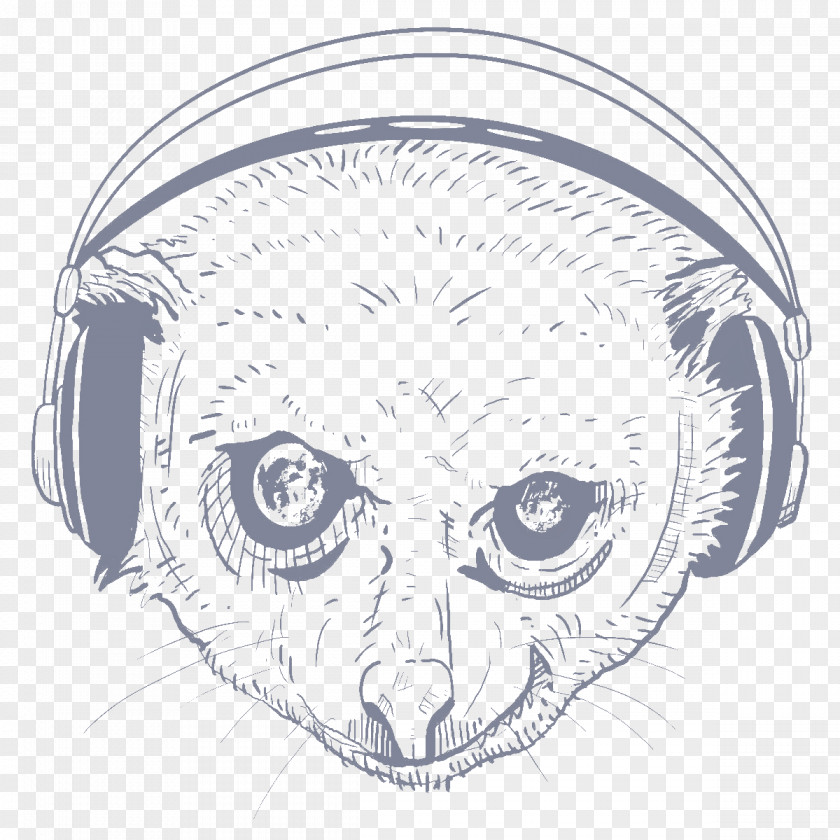 Lemur Lemurs Typography Line Art Mammal Sketch PNG