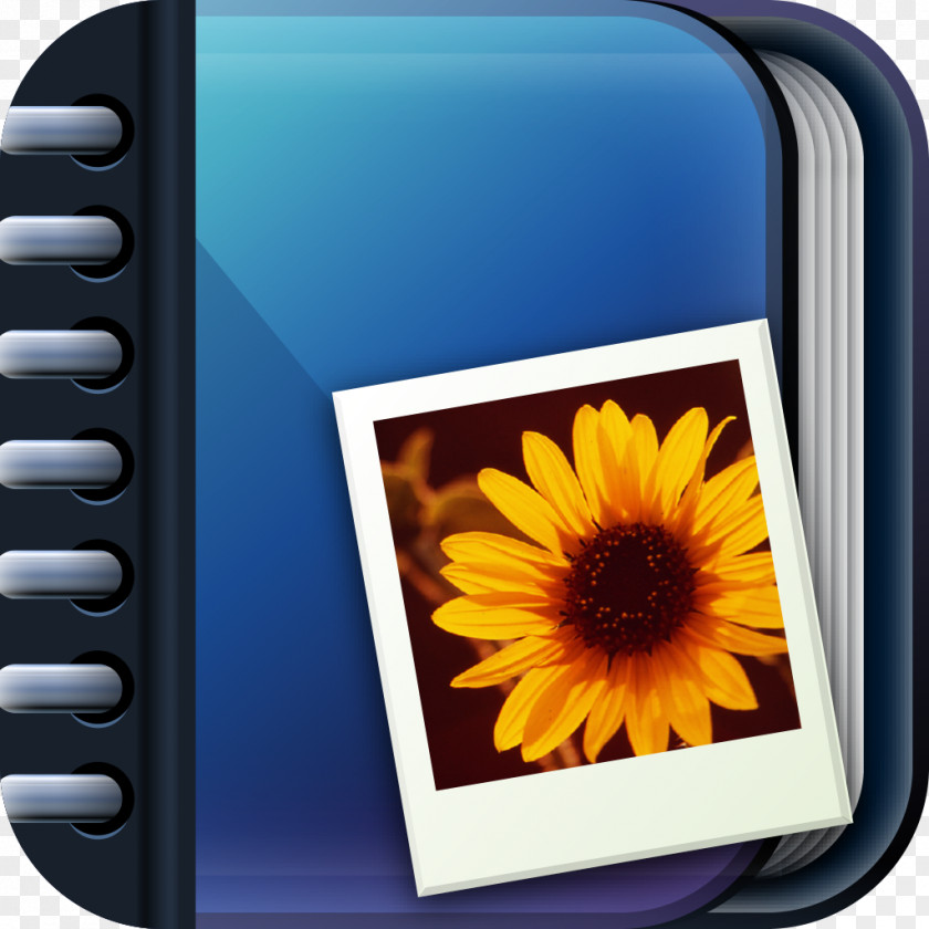 Application Photo Albums Photography Download PNG