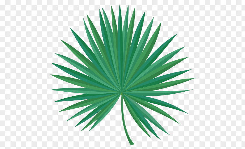 Line Green Saw Palmetto Extract Leaf PNG