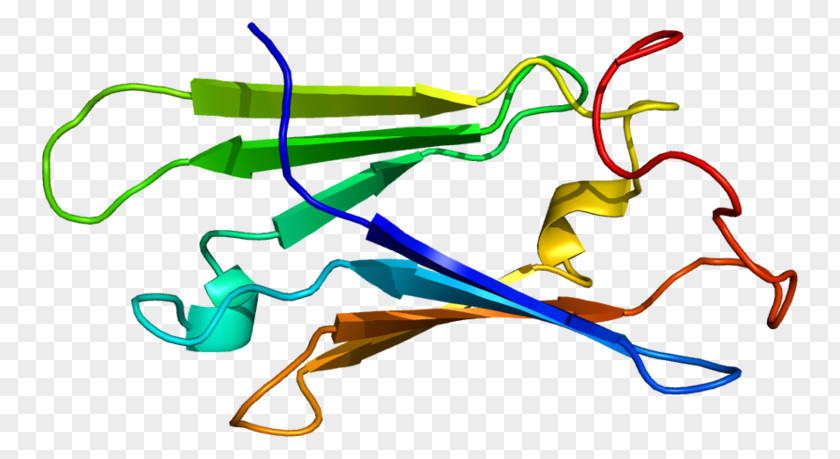 Protein Gene Hsp104 Skp1 SUGT1 PNG
