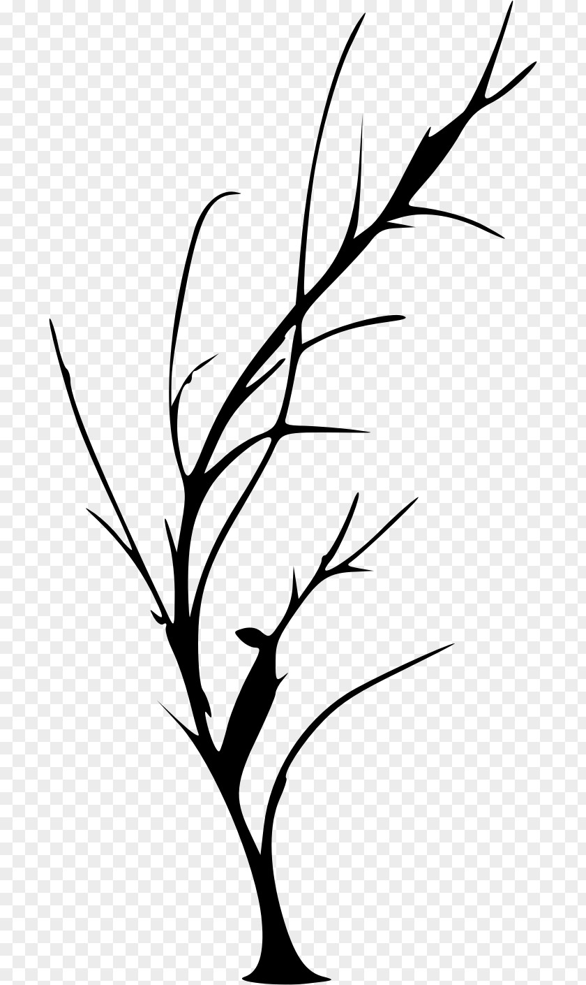Silhouette Drawing Twig Clip Art PNG