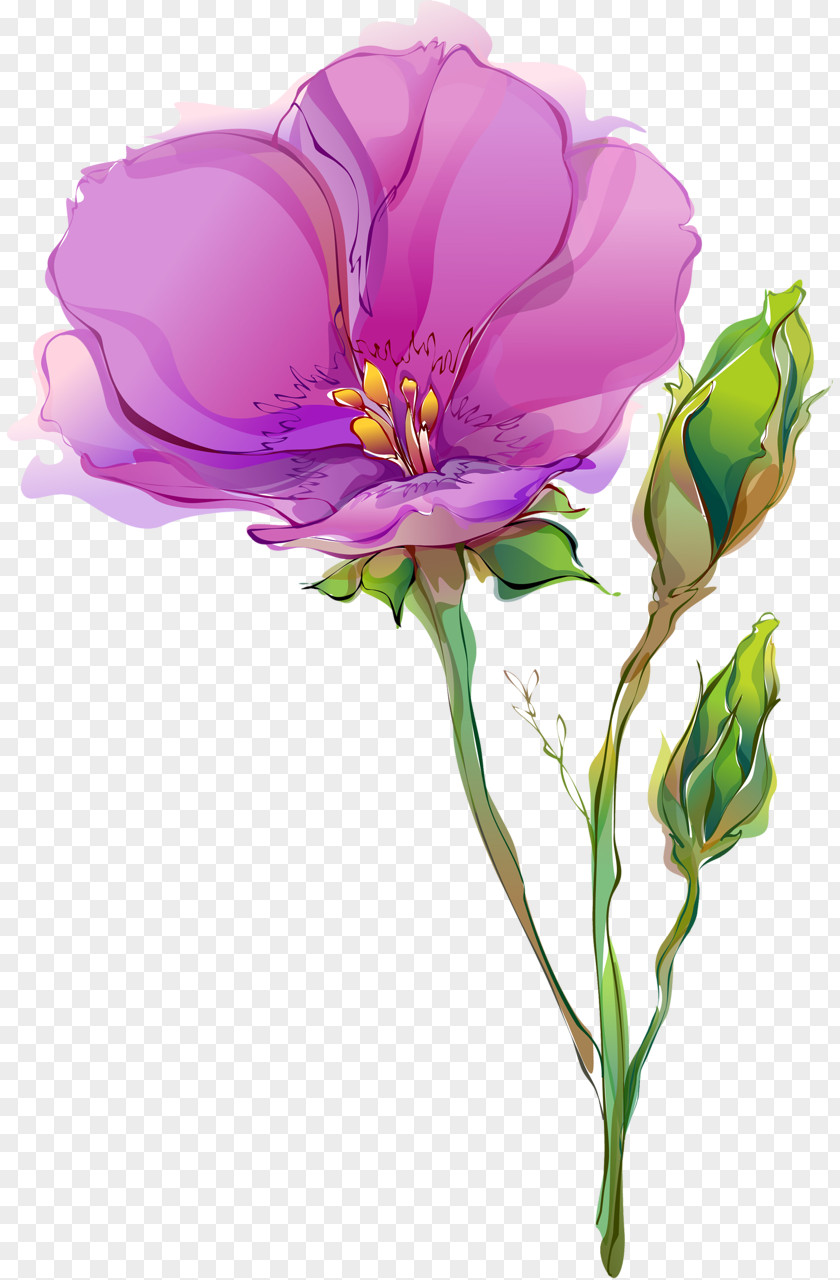 Spring Flowers Cut Tulip Drawing Poppy PNG