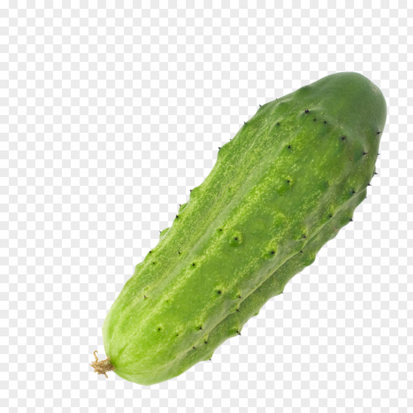 Cucumber Pickled Icon PNG