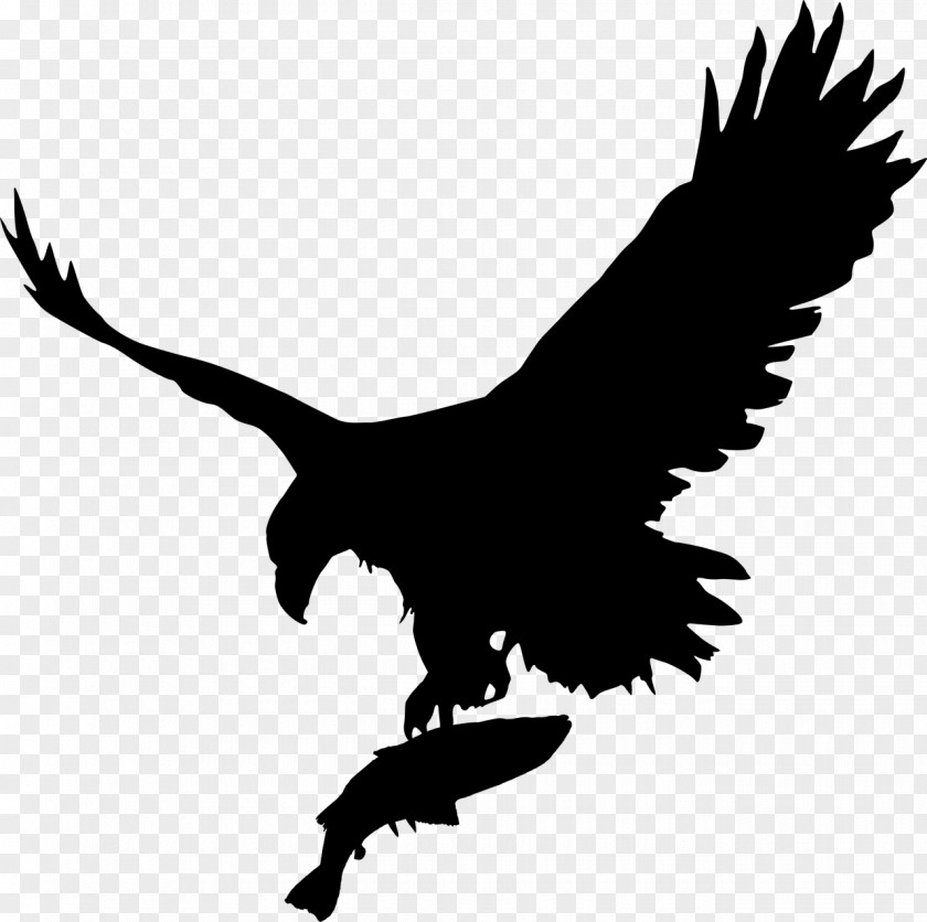 Fourth Of July Eagle Dxf Bald Vector Graphics Royalty-free Illustration PNG
