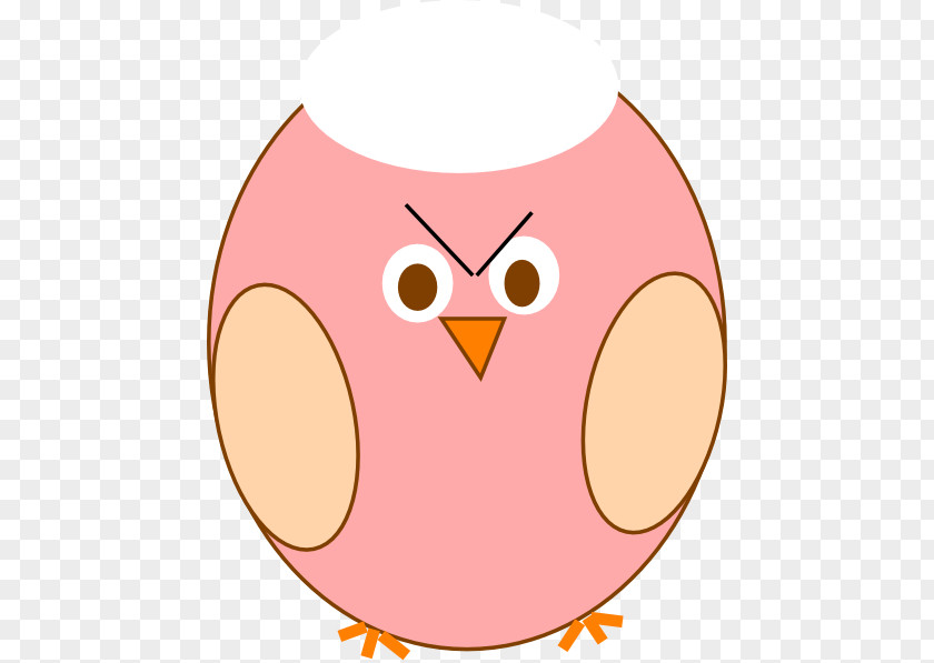 Angry Owl Clip Art PNG
