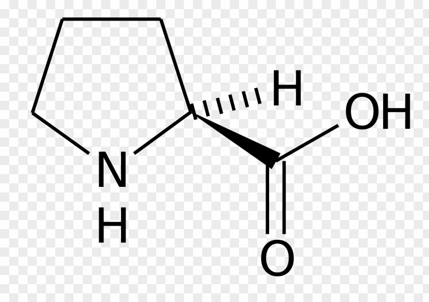 Formula Hydroxyproline Proteinogenic Amino Acid Amine PNG