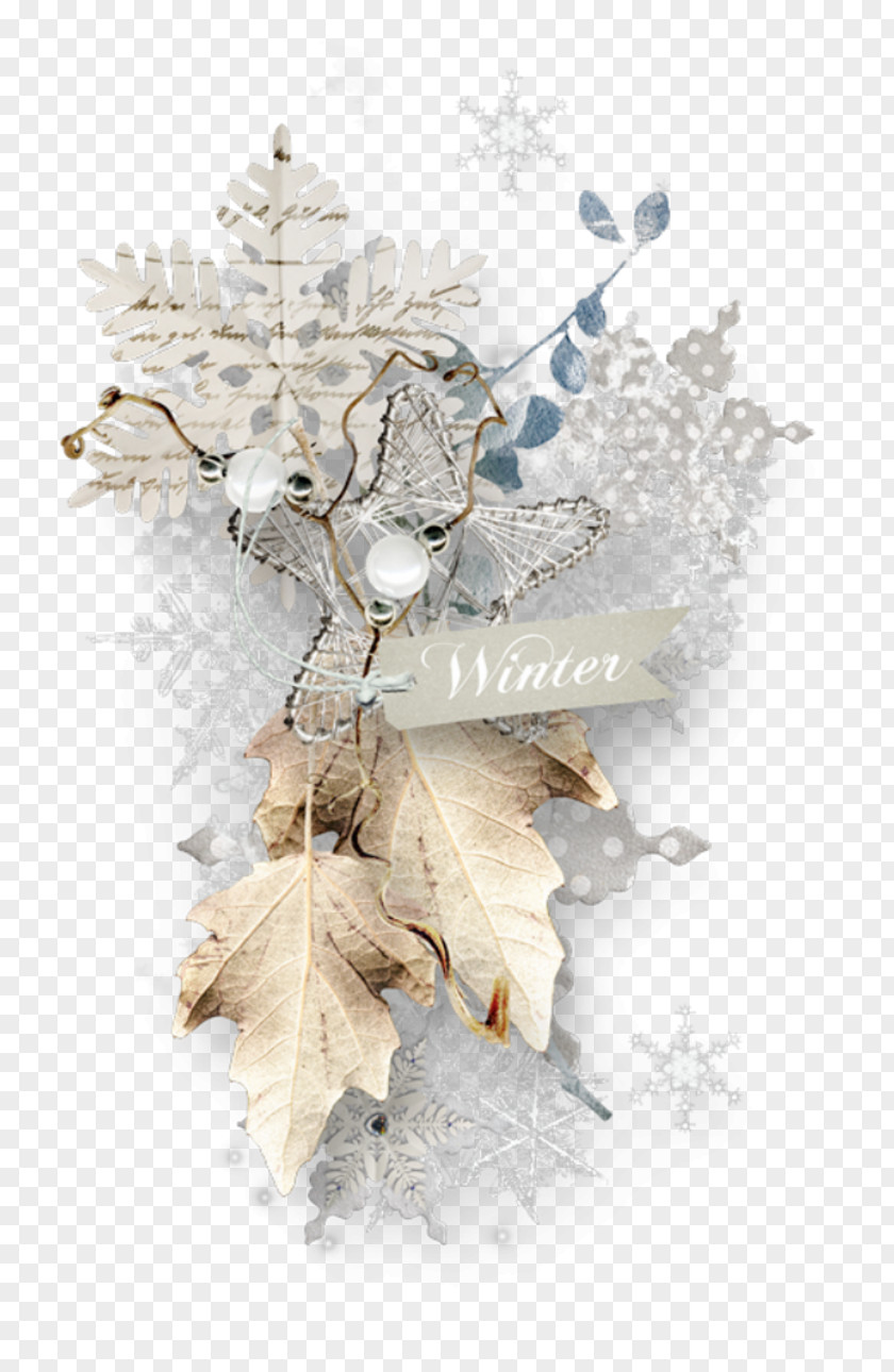 Inverno Paper Digital Scrapbooking Picture Frames Clip Art PNG