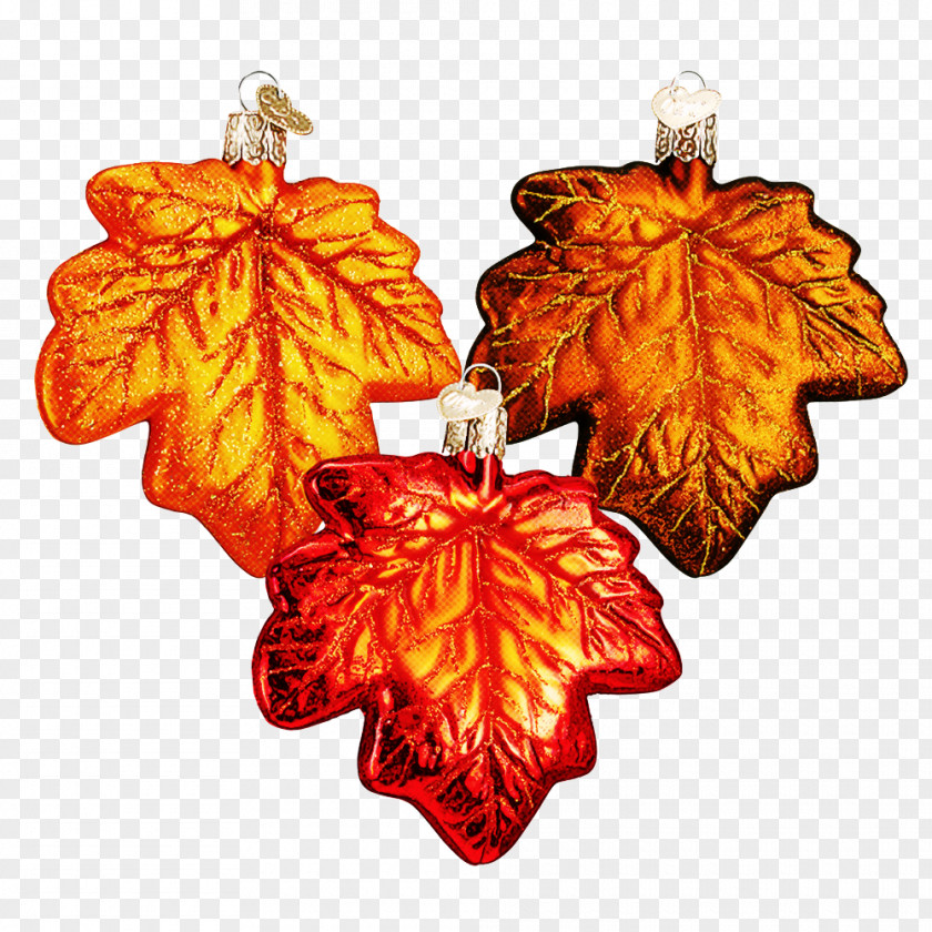 Perennial Plant Ornament Maple Leaf PNG