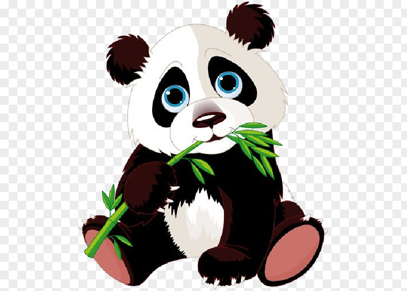 Bear Giant Panda Baby Pandas Red Clip Art PNG