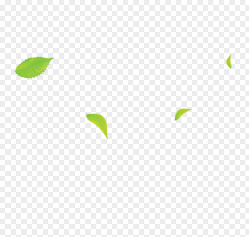 Leaves Area Angle Pattern PNG