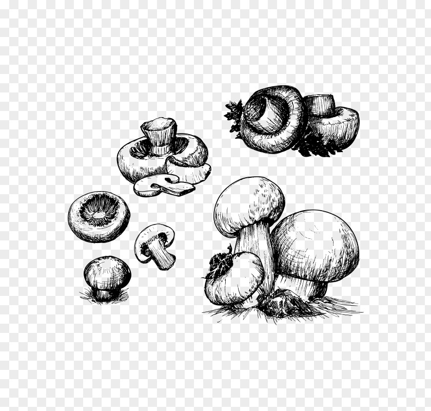 Mushroom,fungus Mushroom Drawing Illustration PNG