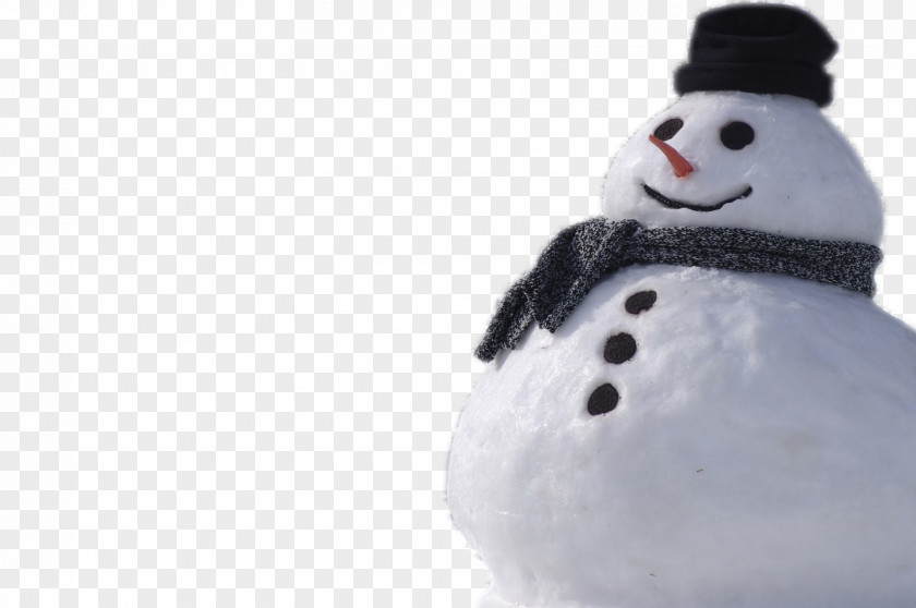 Real Snowman Clip Art PNG