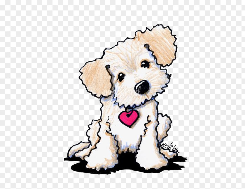 Schnoodle Toy Dog Golden Retriever Background PNG