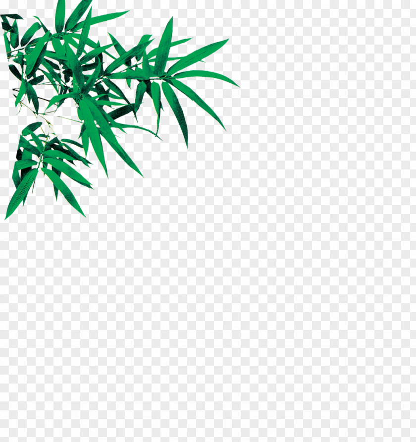 Green Bamboo Leaves Leaf Euclidean Vector PNG