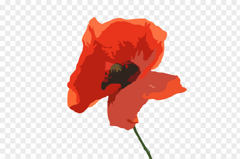 Oriental Poppy Petal Orange PNG