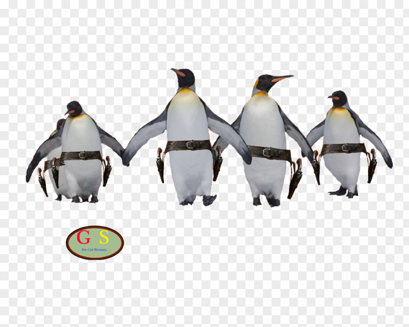 Penguin Humour PNG