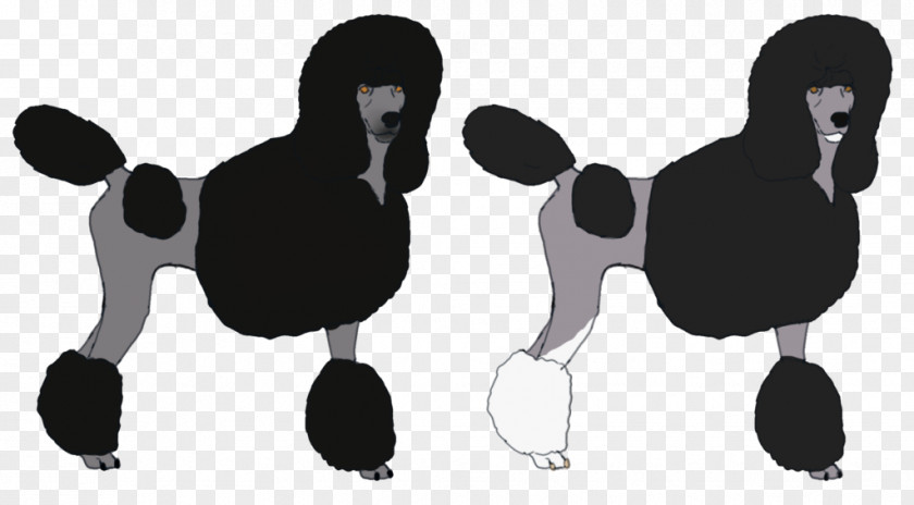 Poodle Dog Black Mammal Canidae Pet PNG