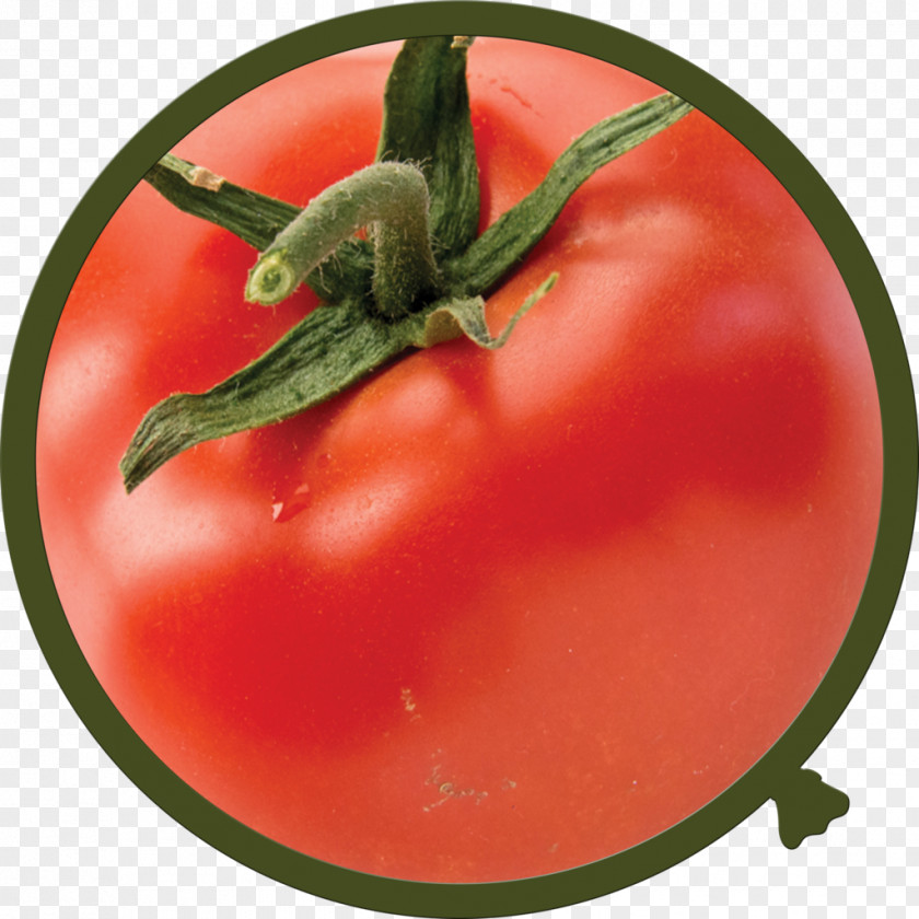 Tomato Plum Bush Food Bell Pepper PNG