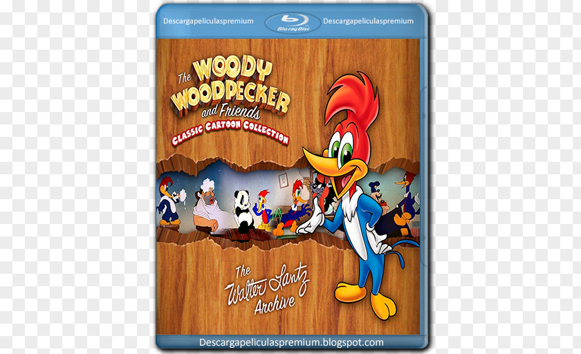 Woody Woodpecker Animated Cartoon Film PNG