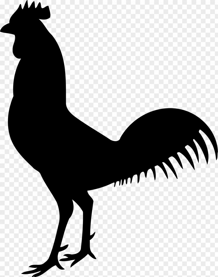 Cock Chicken Bird Human Skeleton Bone PNG