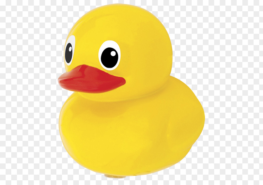 Duck Material Beak PNG