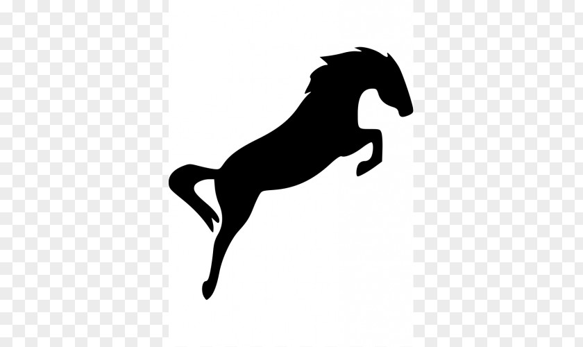 Horse Equestrian Show Jumping Silhouette PNG