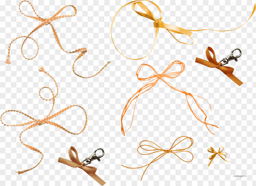 IFolder DepositFiles Orange Clip Art PNG