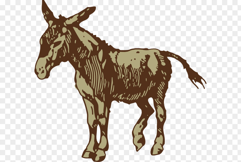 Mule Cliparts T-shirt Sticker Donkey Jackass Illustration PNG