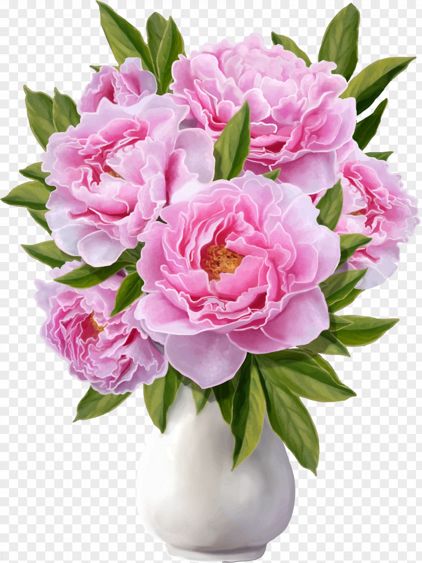 Peony Cut Flowers Stock Photography Vase PNG