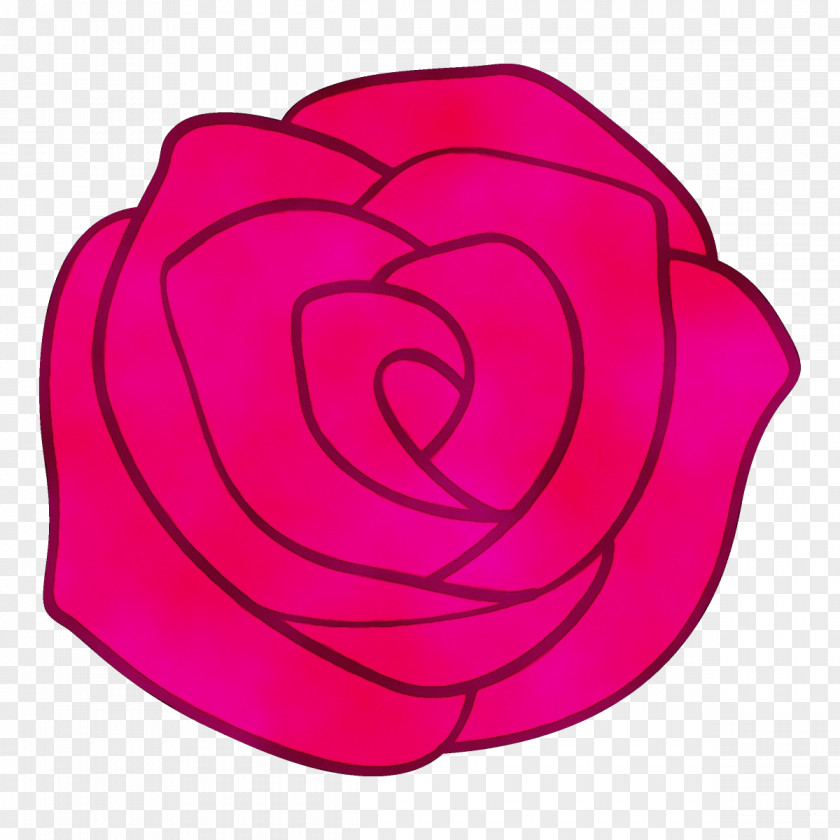 Plant Hybrid Tea Rose Garden Roses PNG