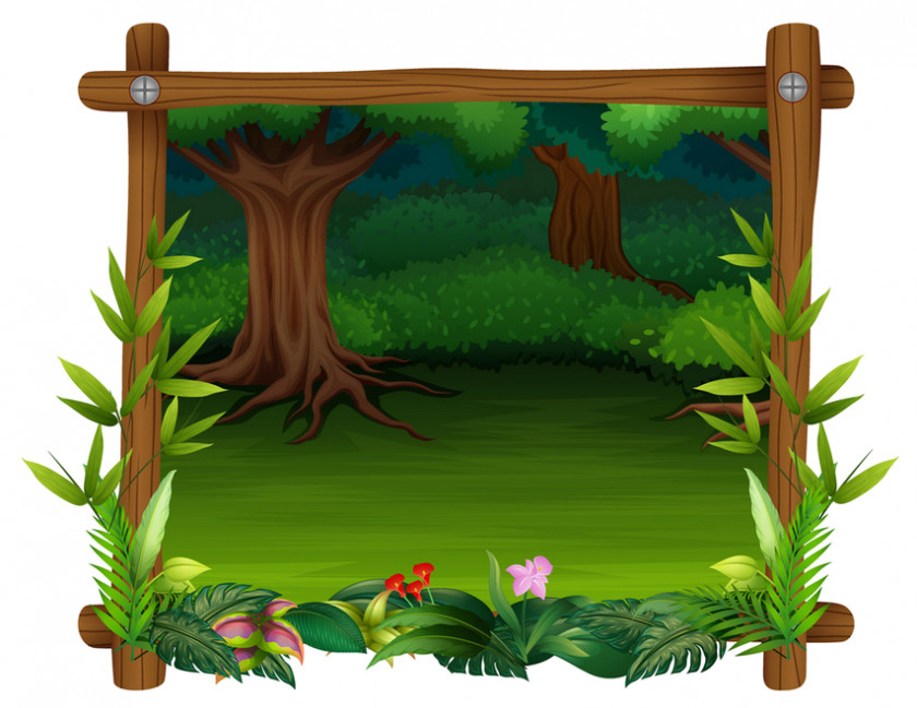 Rectangle Vascular Plant Picture Frame PNG