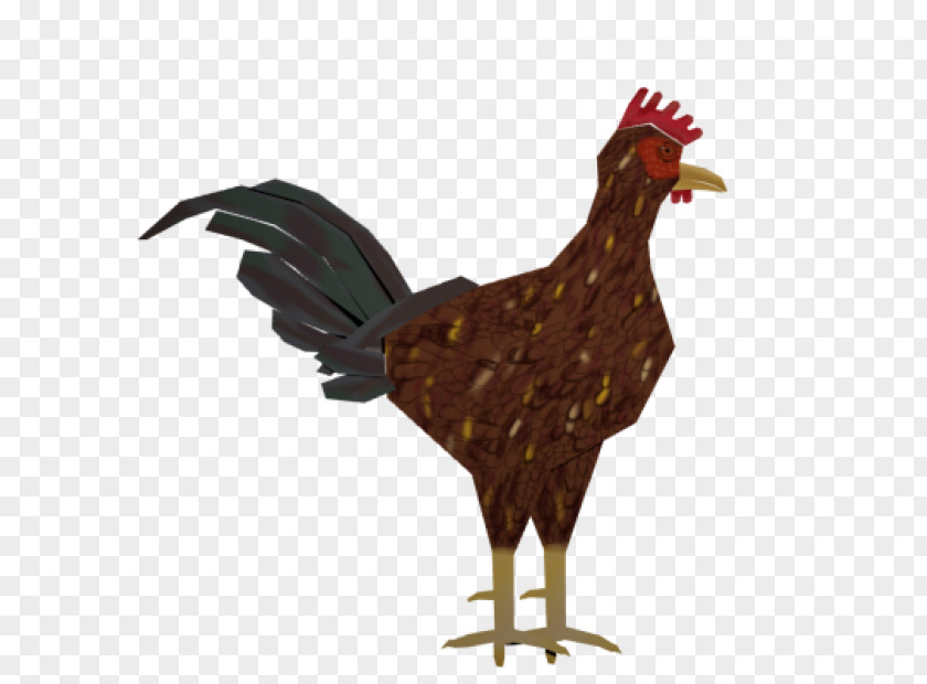 Rooster Chicken 3D Modeling Low Poly Computer Graphics PNG
