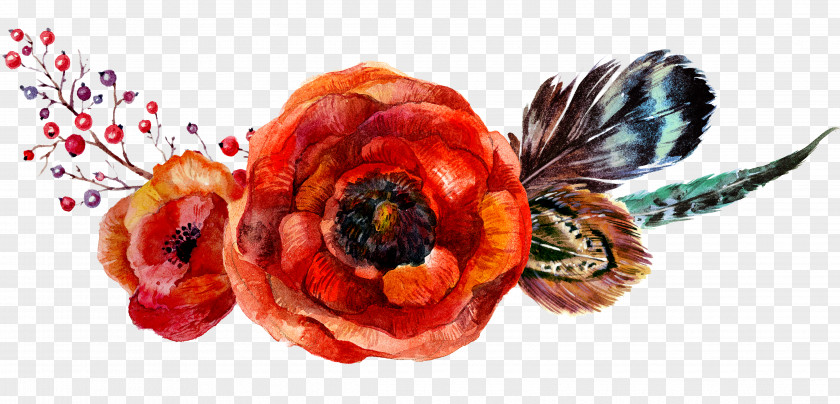 Watercolor Flowers Poppy Flower Bouquet PNG