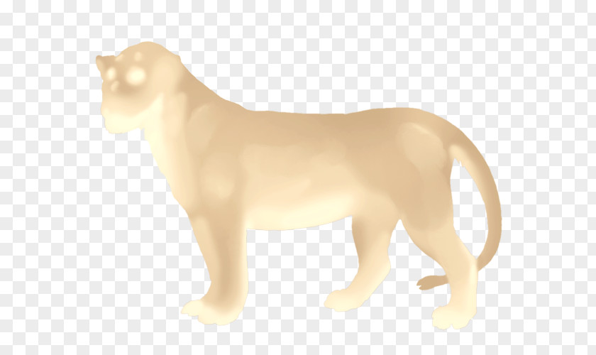 Almond Cat Mammal Dog Carnivora Animal PNG