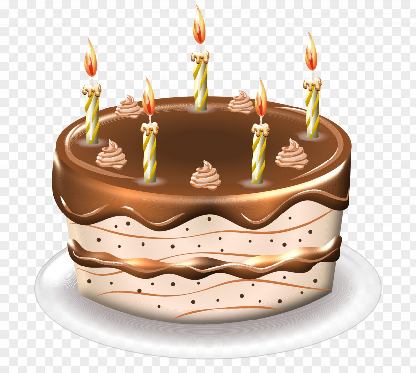 Dna Core Birthday Cake Chocolate Torte Sponge PNG