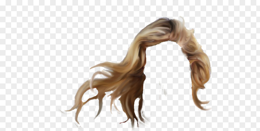 Hair Long Hairstyle Wig PNG