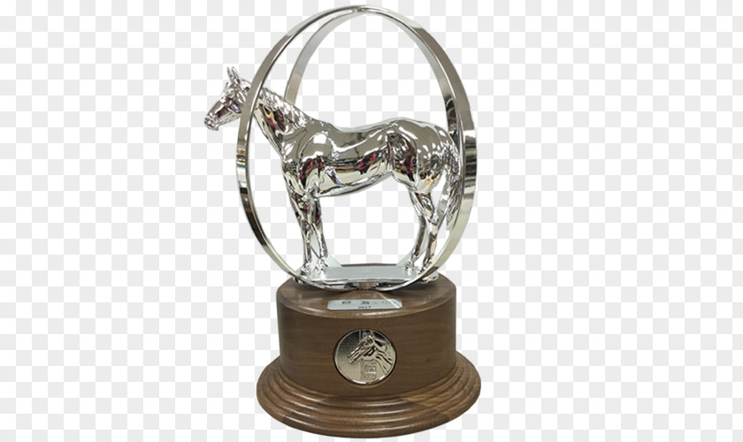 Trophy American Quarter Horse Association Aqha World Show Award Commemorative Plaque PNG