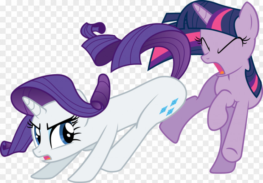 Winters Vector Pony Rarity Rainbow Dash Twilight Sparkle Pinkie Pie PNG
