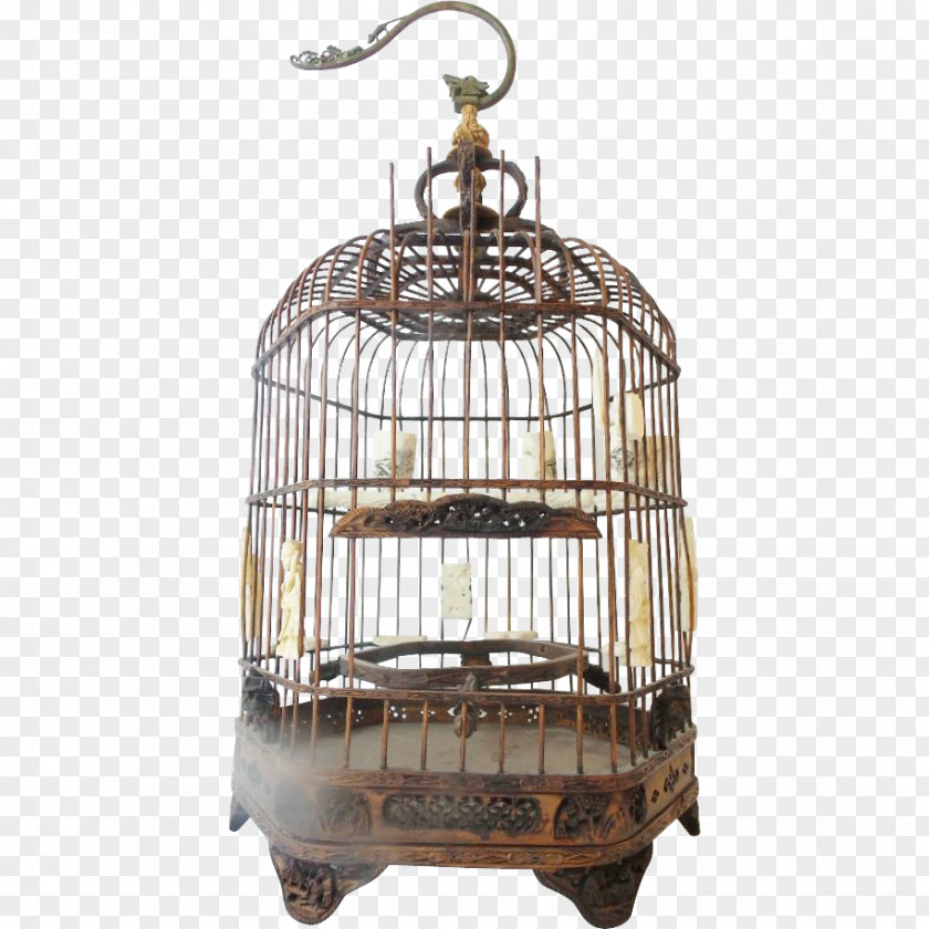 Bird Birdcage Domestic Canary Parrot PNG