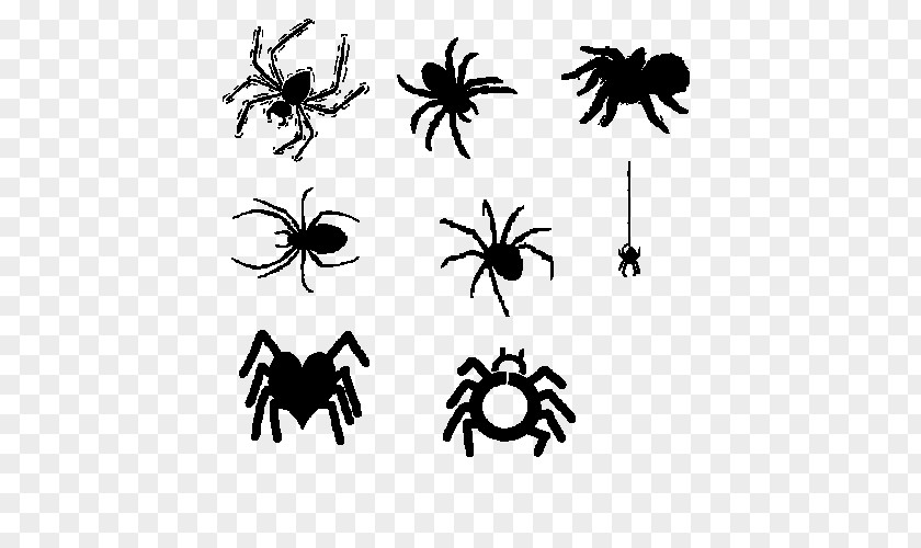 Black Spider Cartoon And White PNG