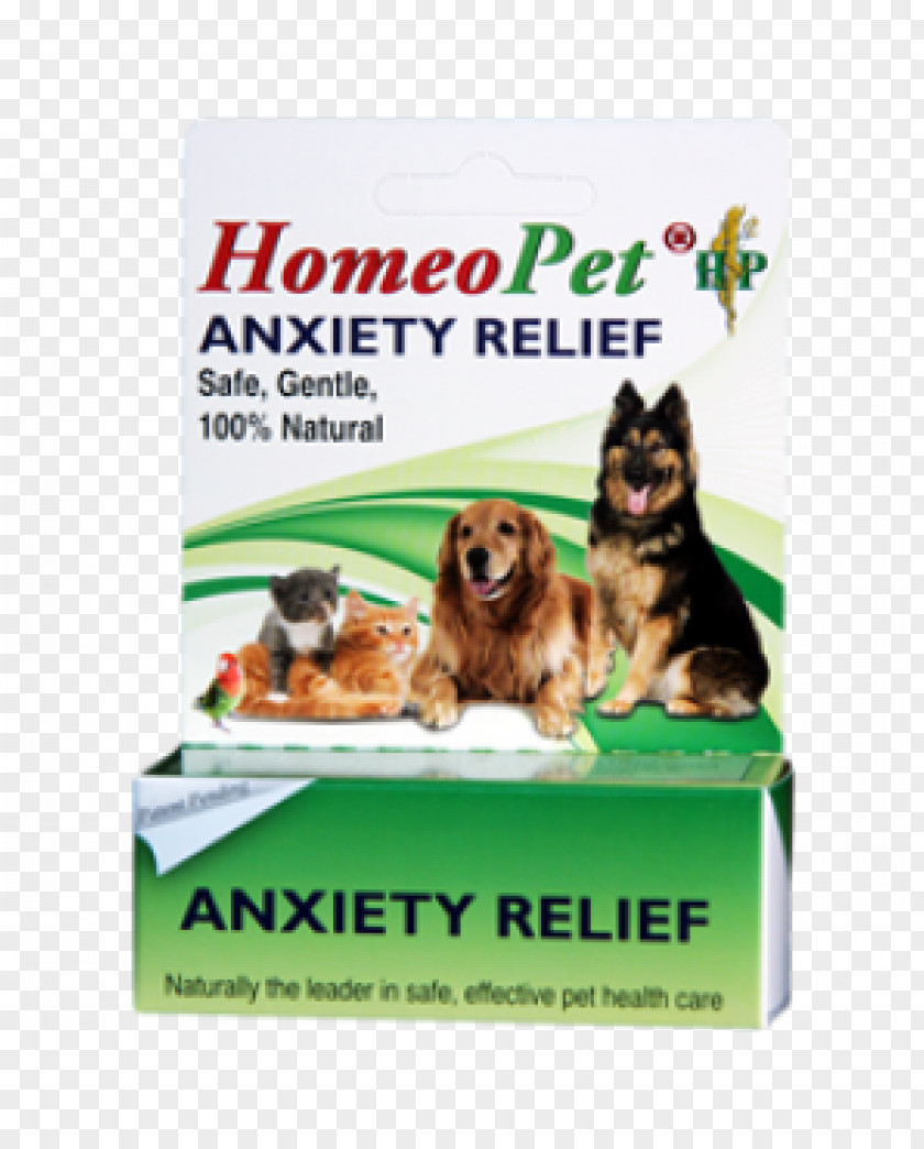 Dog Anxiety Disorder Cat Stress PNG