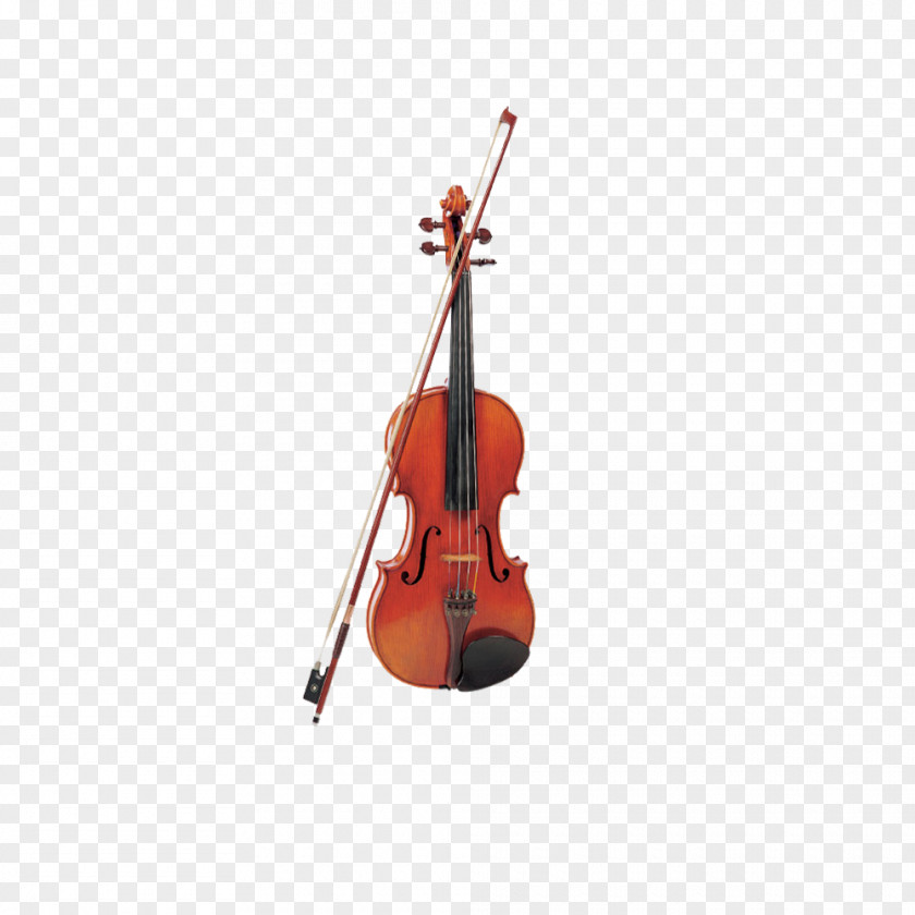 Exquisite Violin Bass Violone Viola Musical Instrument PNG