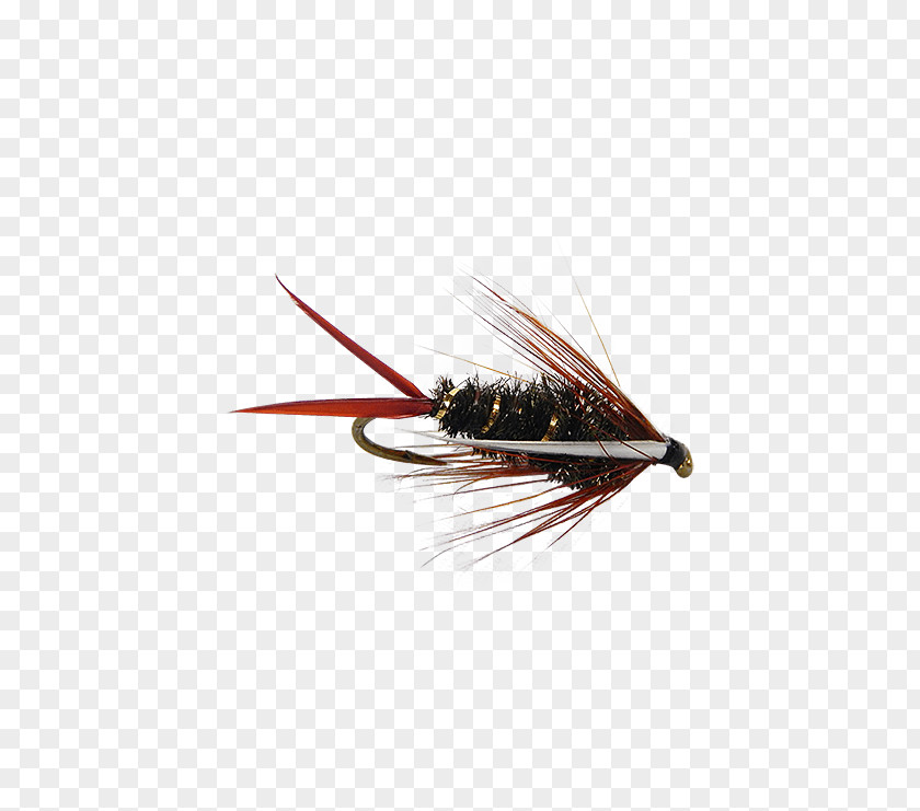 Fly Fishing Flies Emergers Artificial Nymph Insect PNG