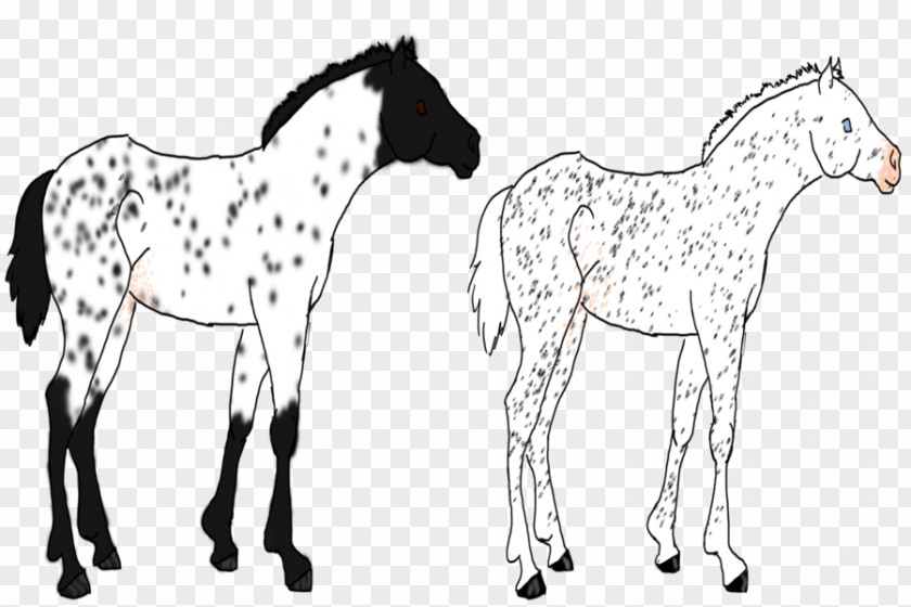 Mustang Foal Colt Stallion Bridle PNG