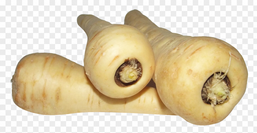 Parsnip Carrot Root Vegetables Turnip PNG